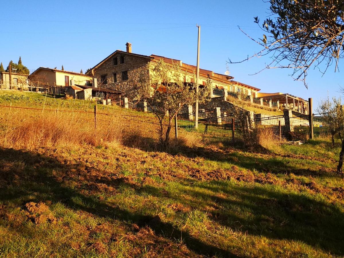 Agriturismo Olimpo Villa Santa Maria  Экстерьер фото