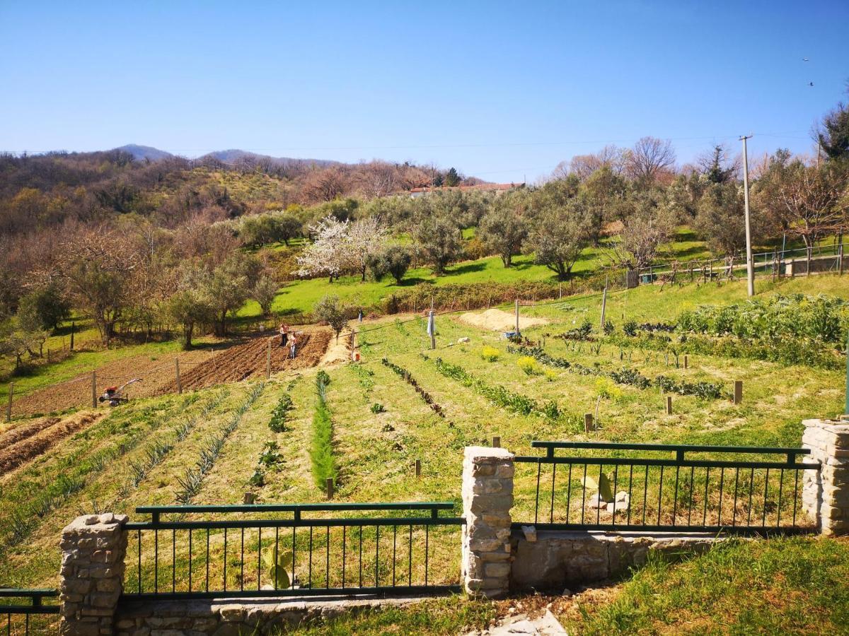 Agriturismo Olimpo Villa Santa Maria  Экстерьер фото